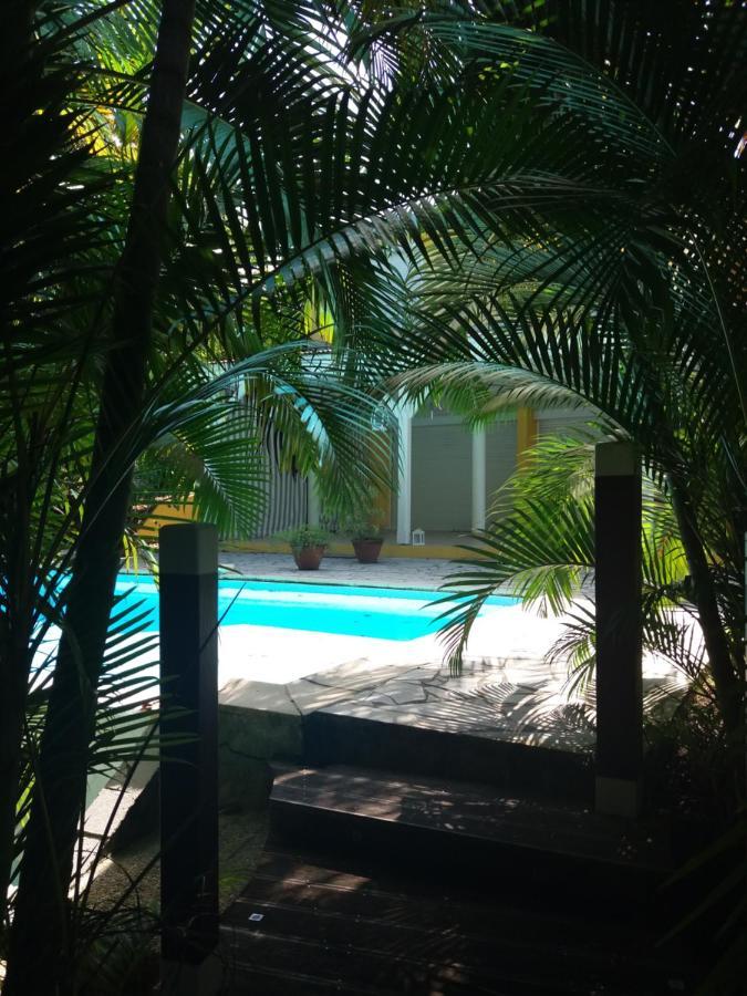 Chambre D'Hote Et Loft Dans Maison De Charme Piscine A Debordement La Villa Gialla 舍尔谢 外观 照片