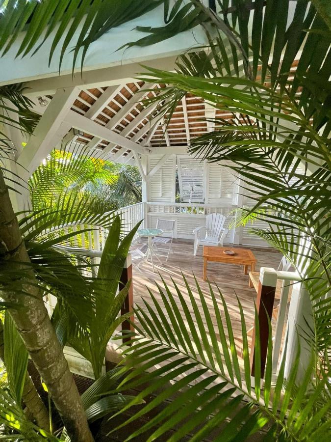 Chambre D'Hote Et Loft Dans Maison De Charme Piscine A Debordement La Villa Gialla 舍尔谢 外观 照片
